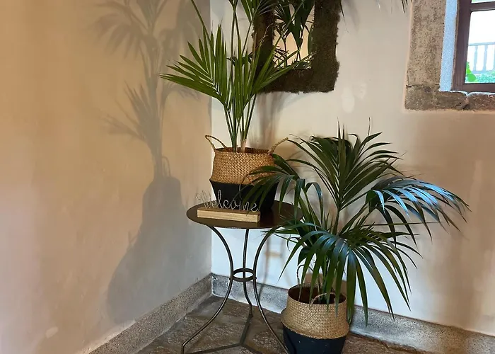 Rectoral De Cines 4*