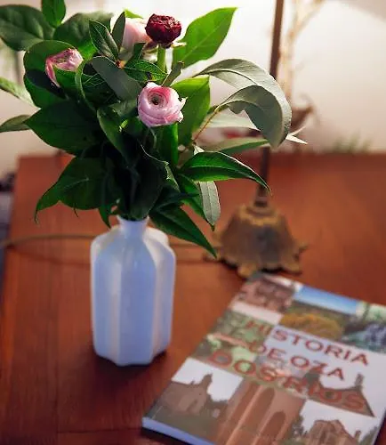 Hotel Rectoral De Cines